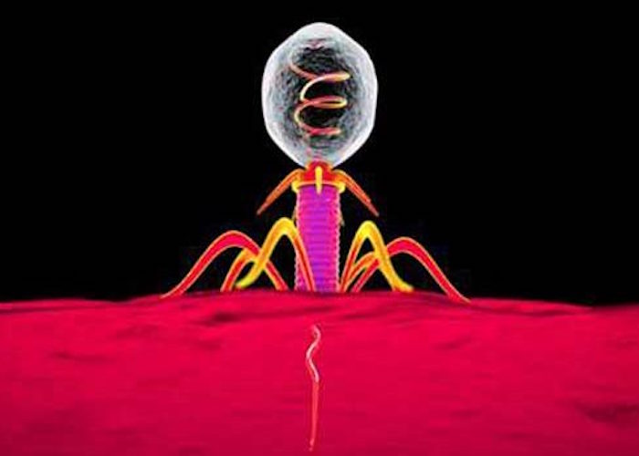 pic-phage-therapy.jpg