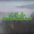 A lista mámora: a 10 legjobb tévésorozat