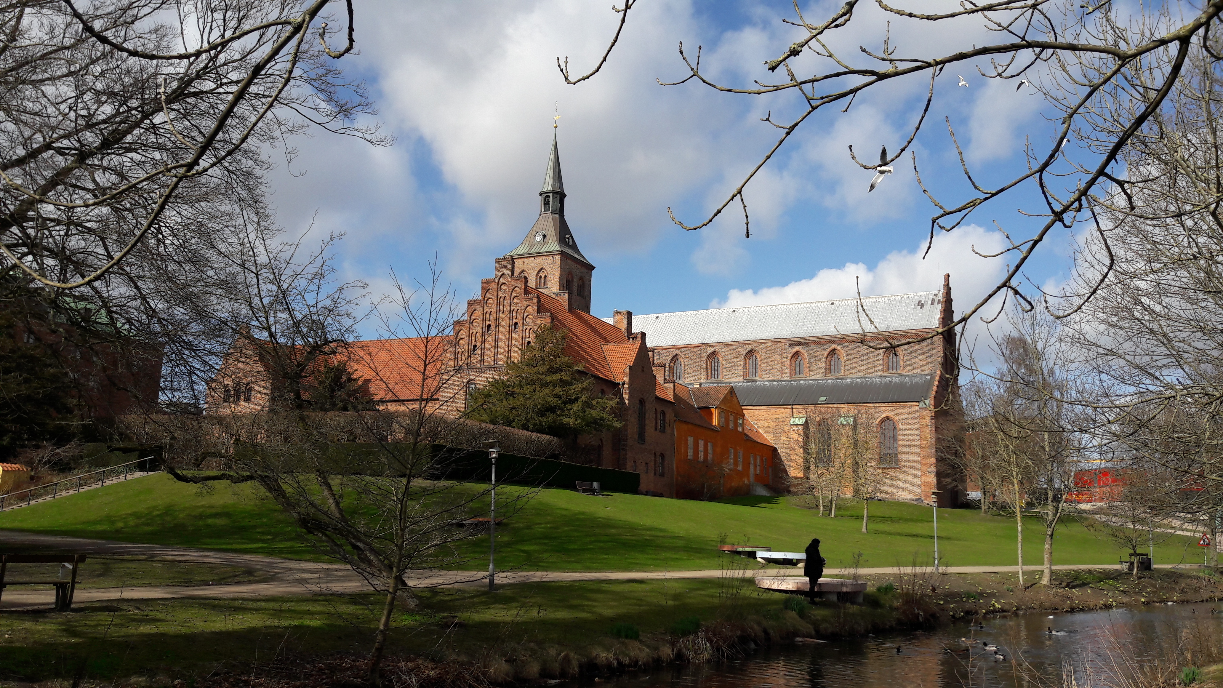 20170315_133117.jpg
