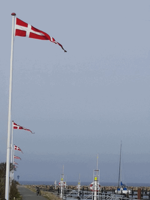 20170401_122048.gif