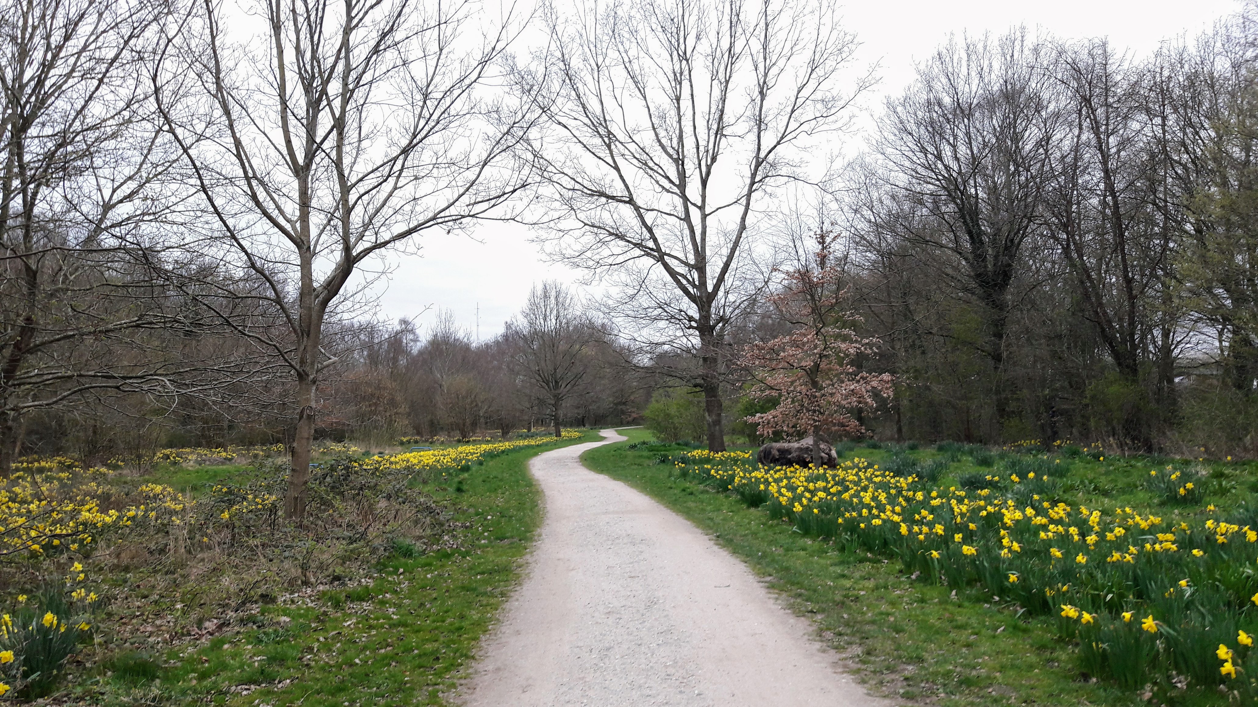 20170408_191009.jpg