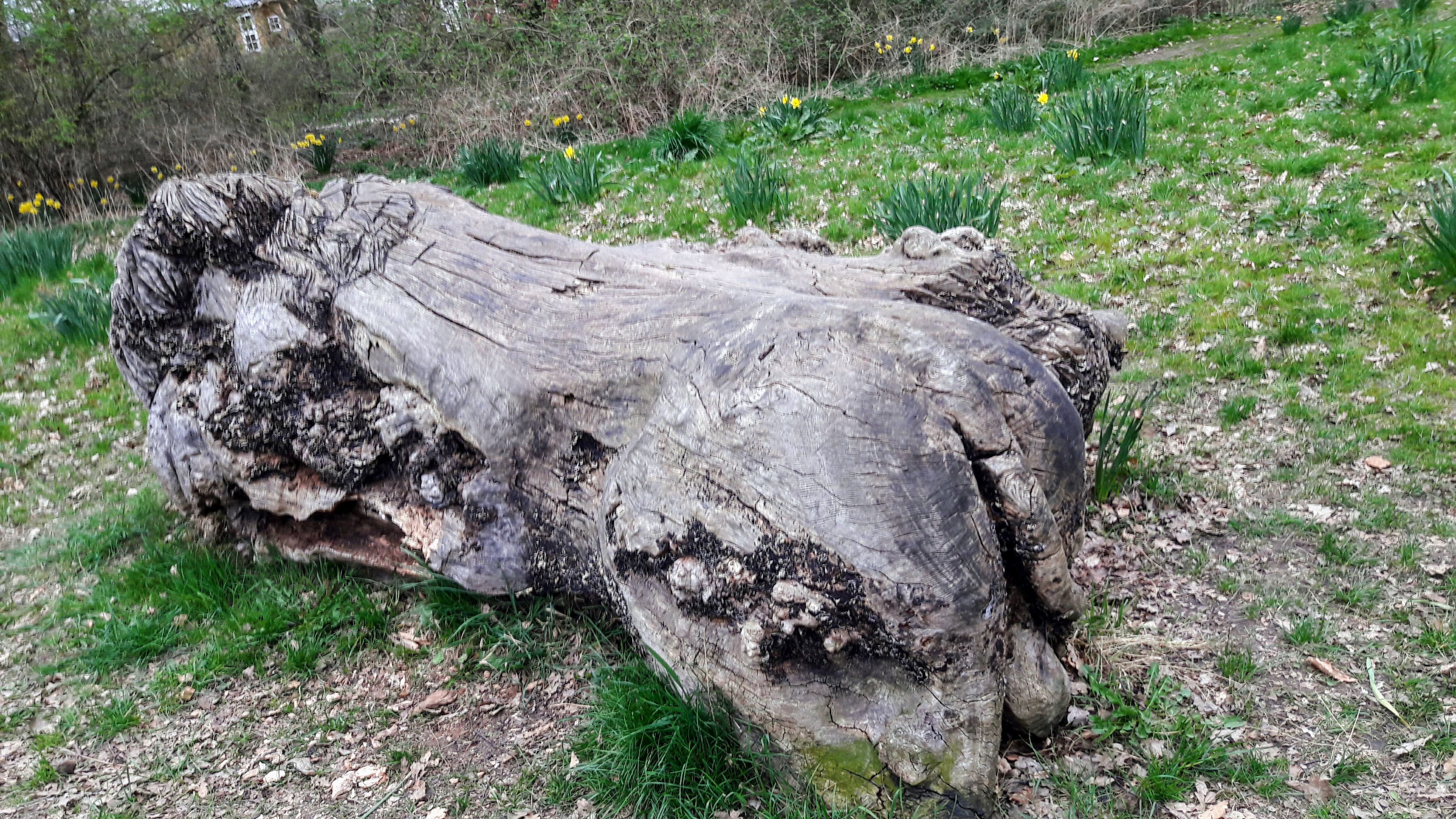 20170408_191121.jpg