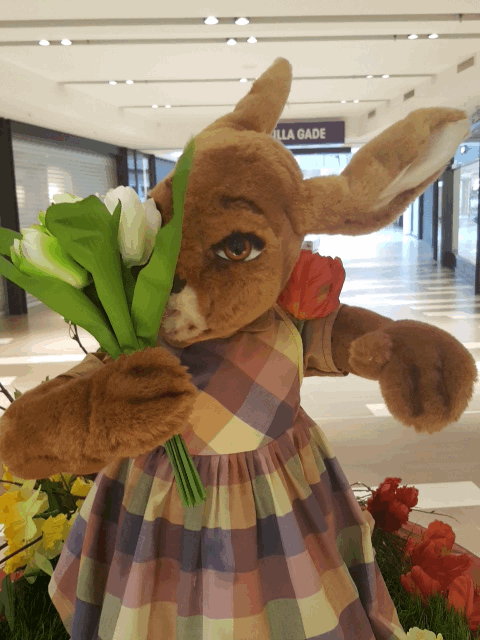 20170417_130403.gif