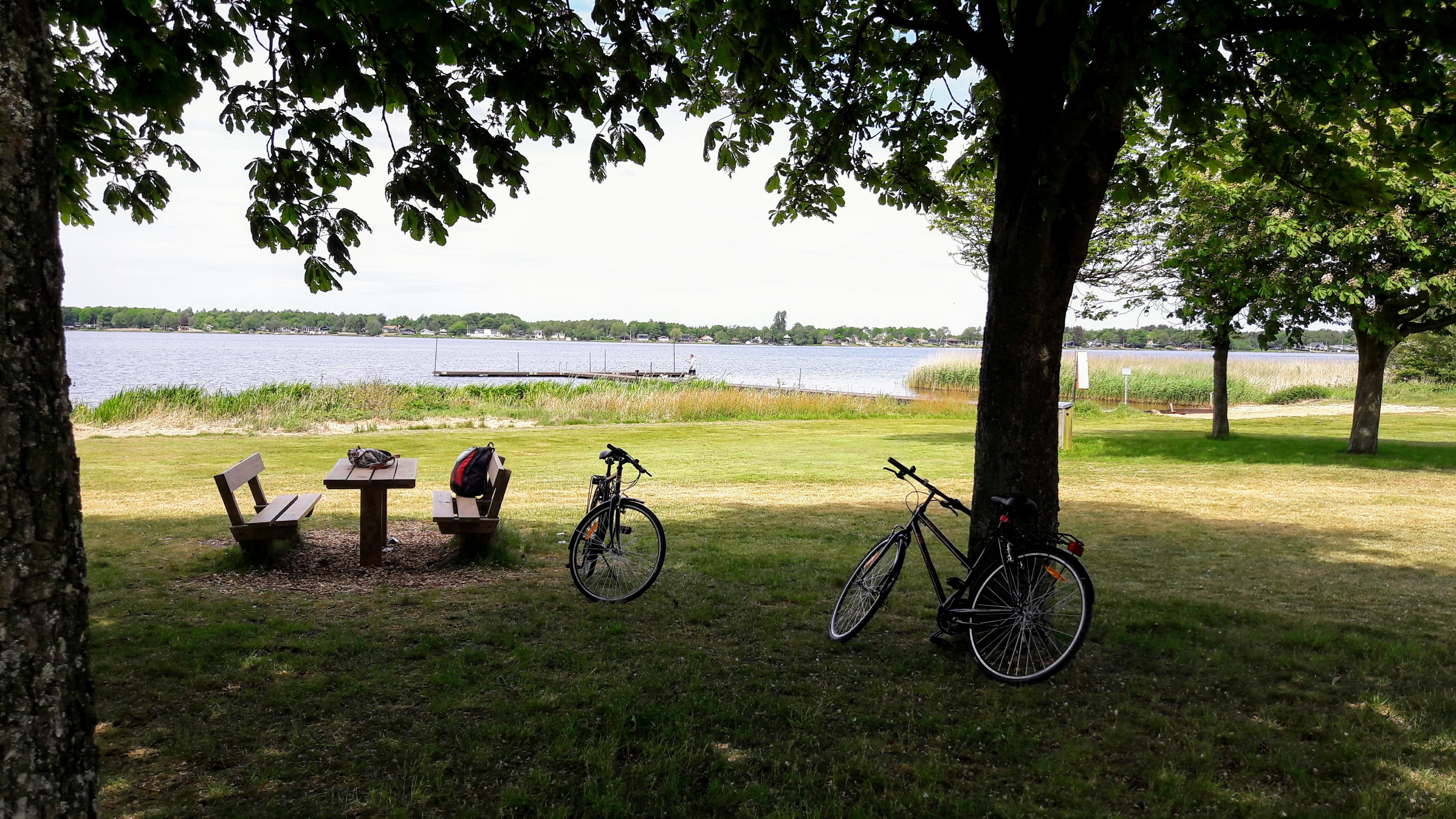 20170602_134437.jpg