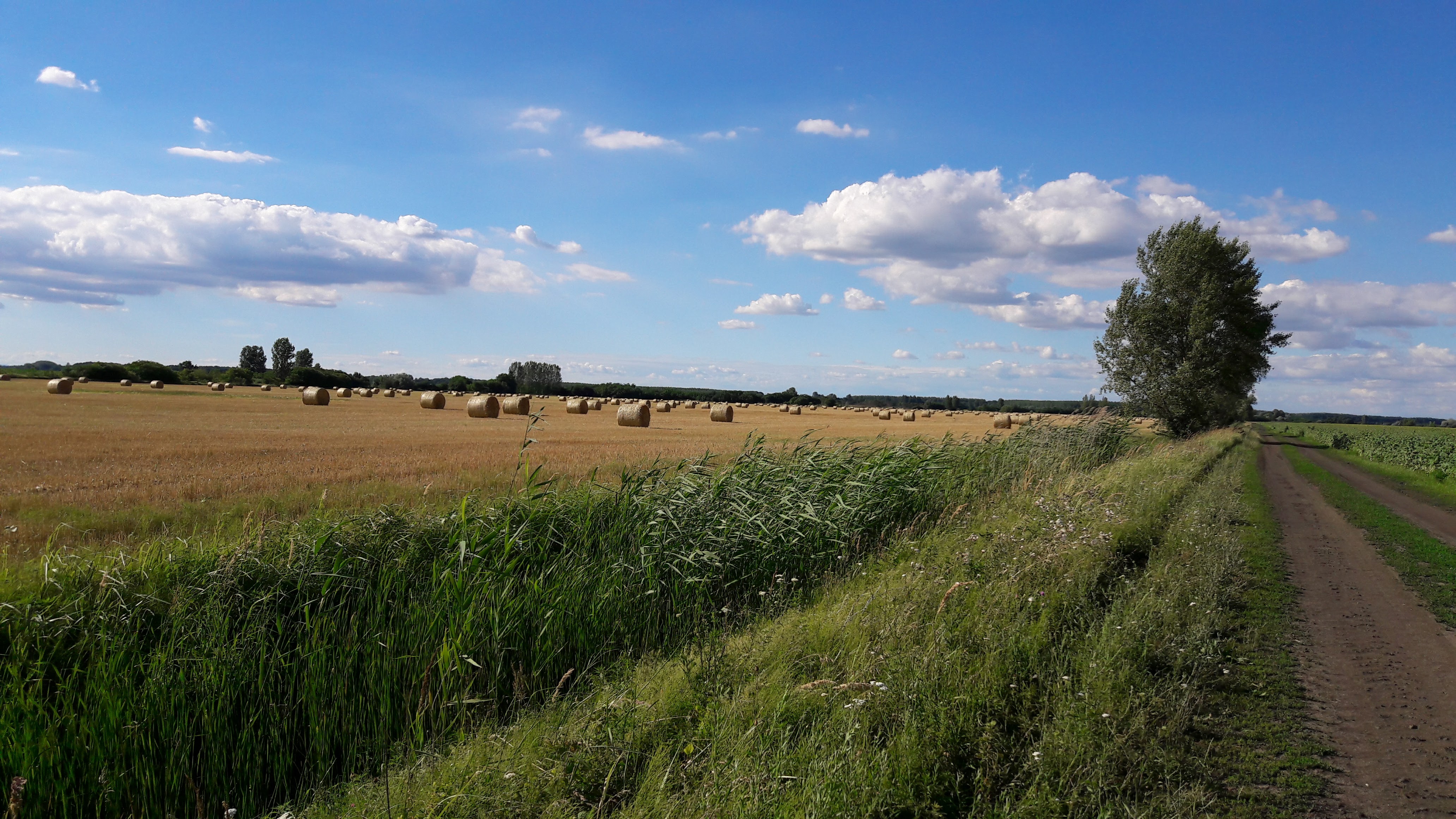 20170702_171520.jpg