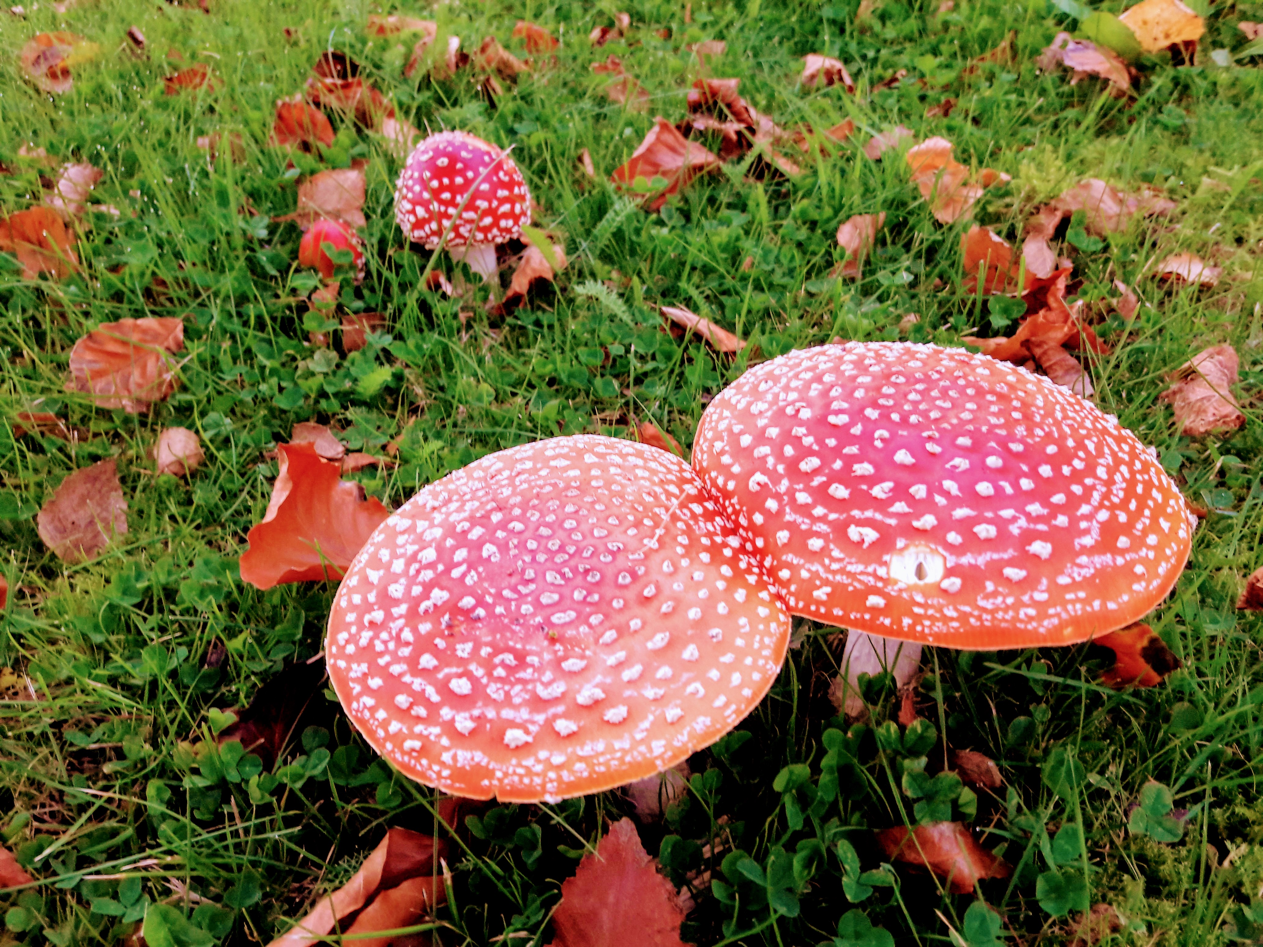 20170928_080327.jpg