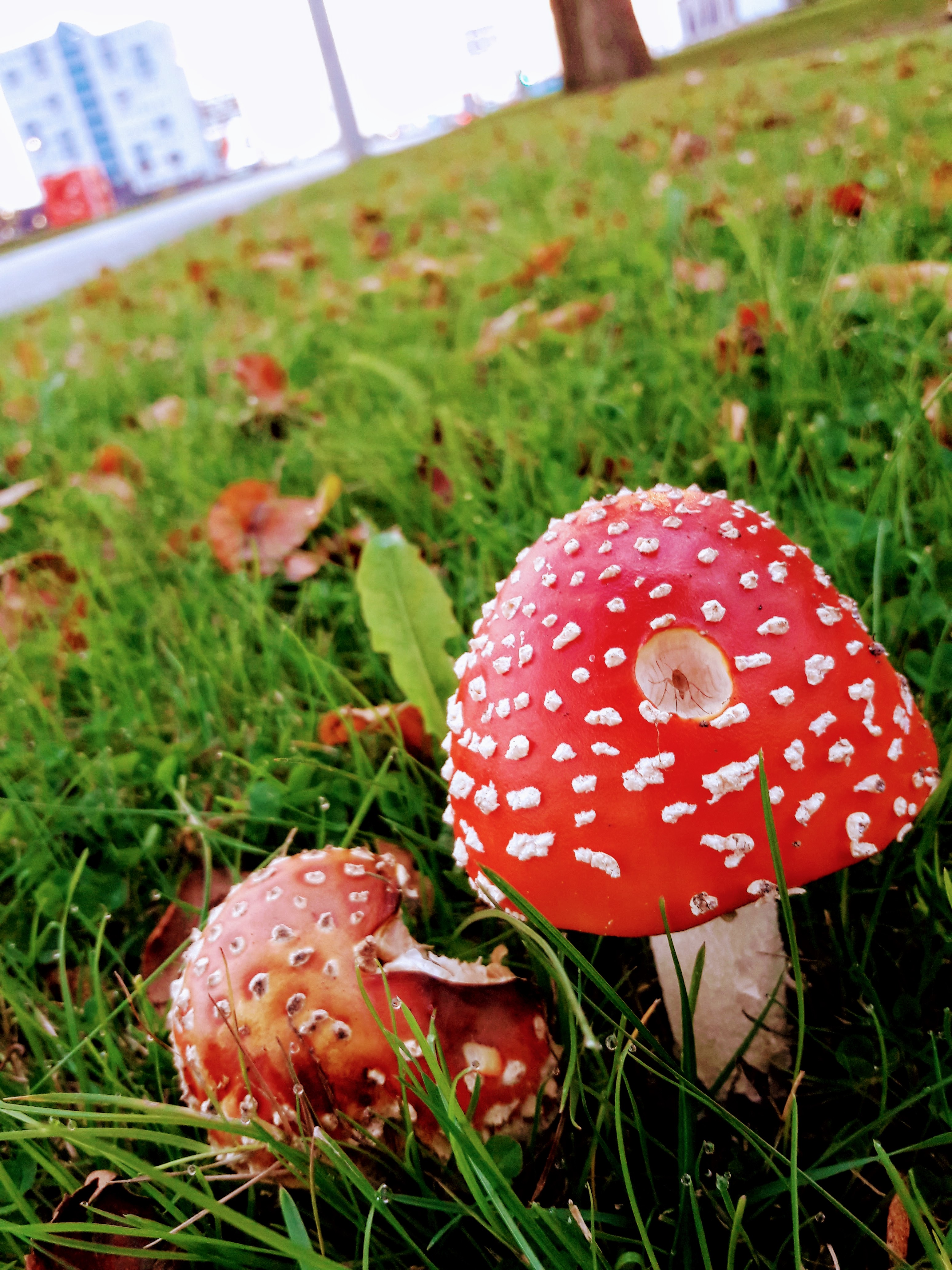 20170928_080343.jpg