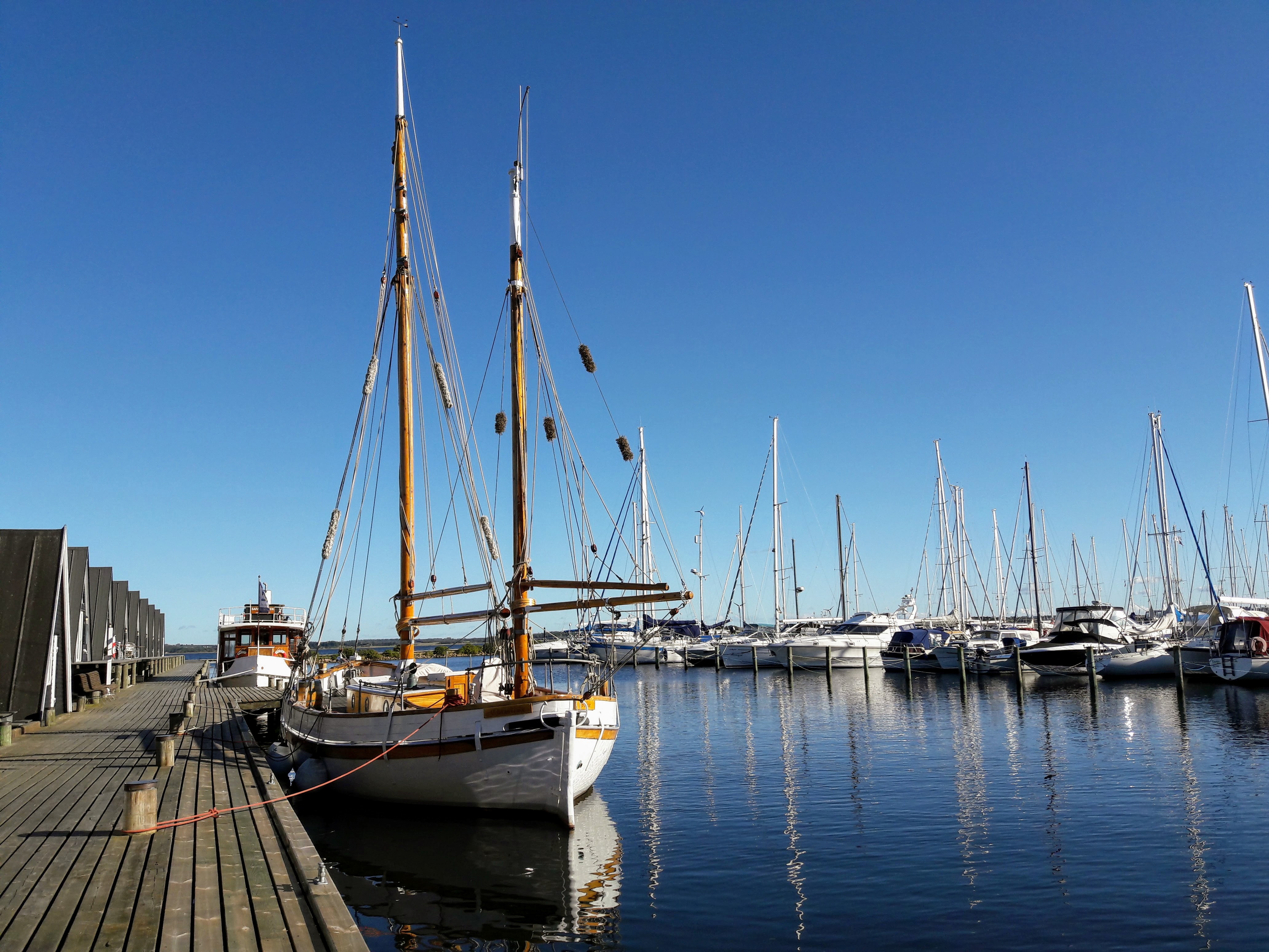 20171006_150413.jpg