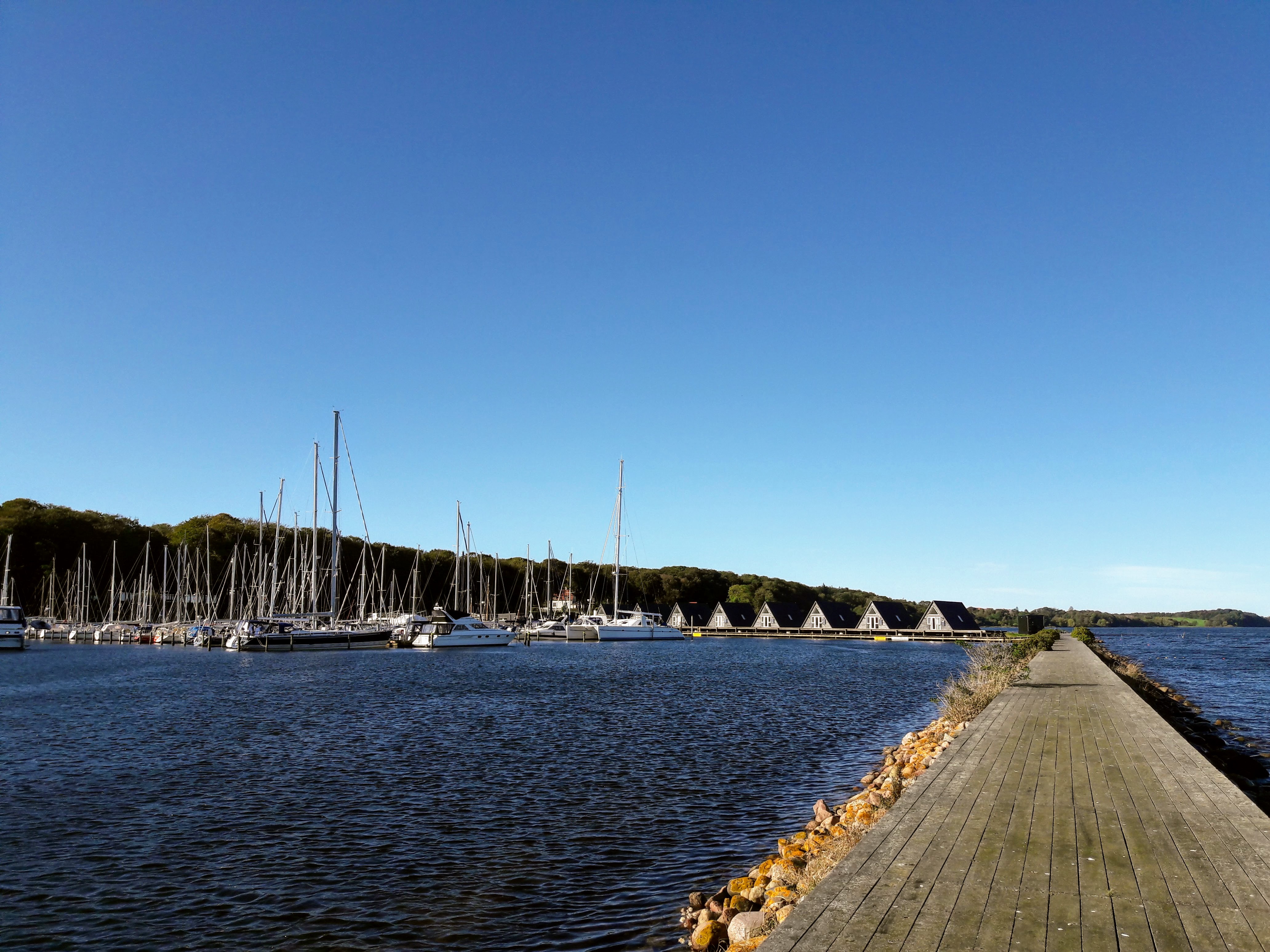 20171006_151518.jpg
