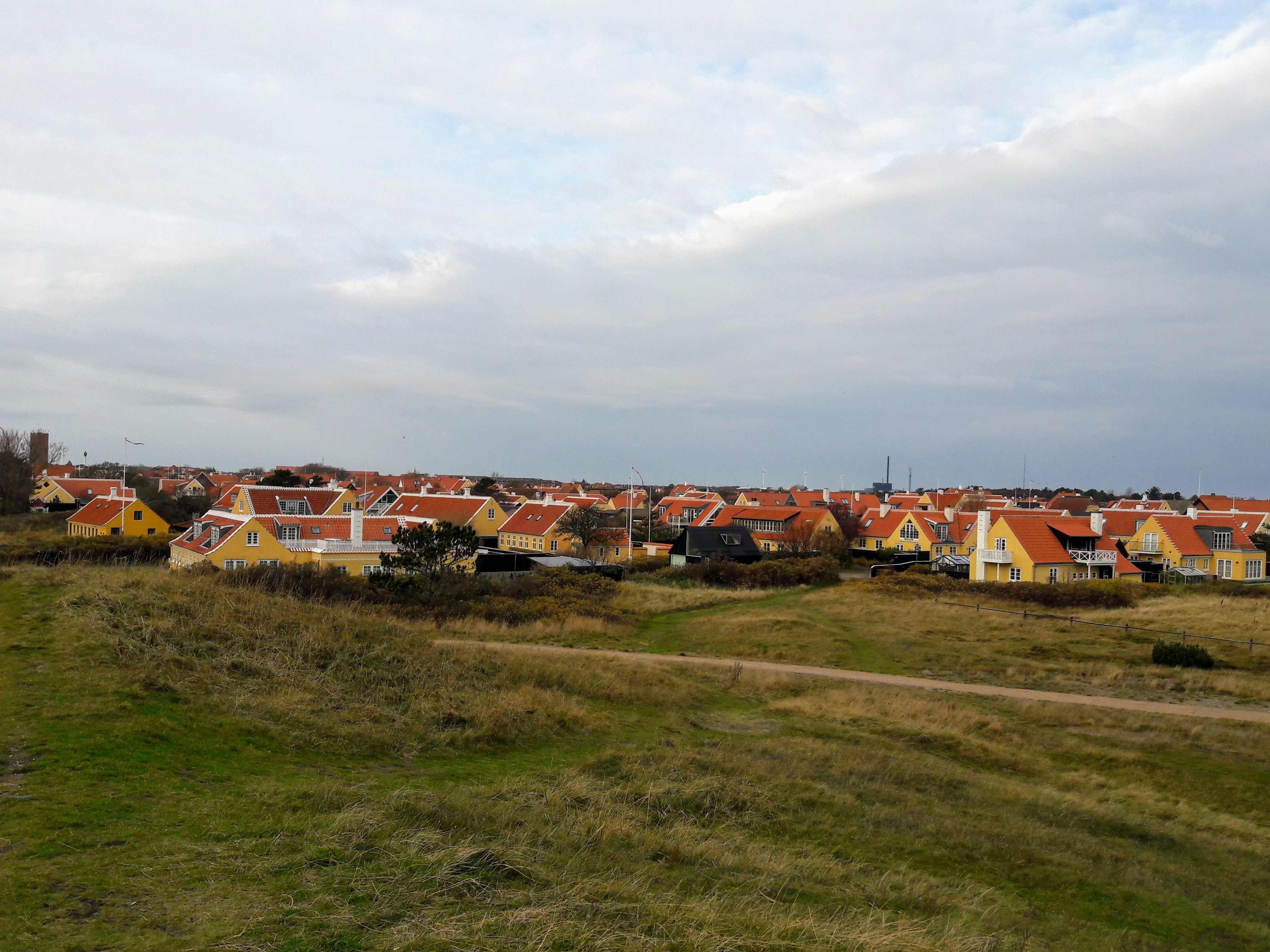 20171104_100811.jpg