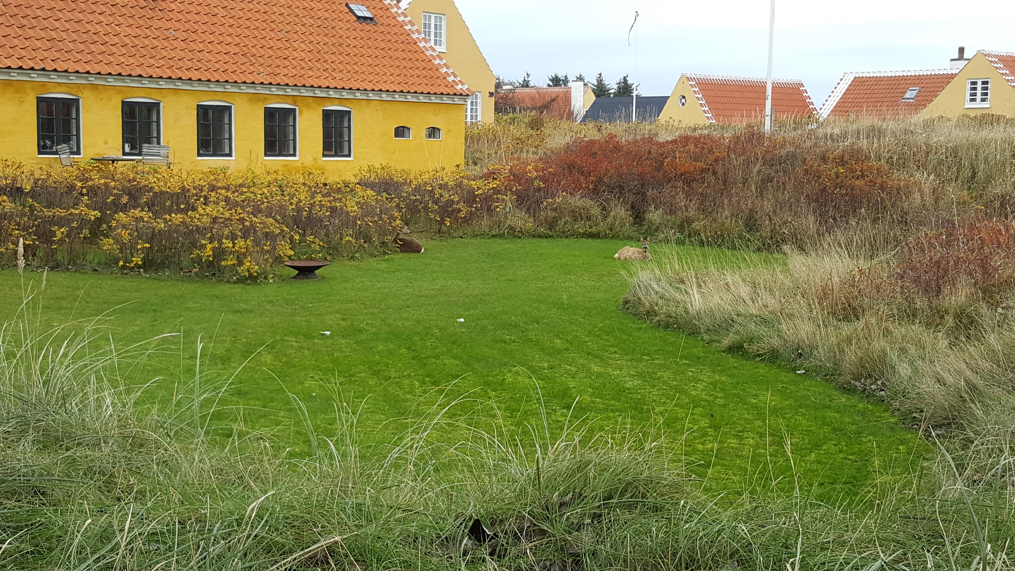 20171104_101816.jpg