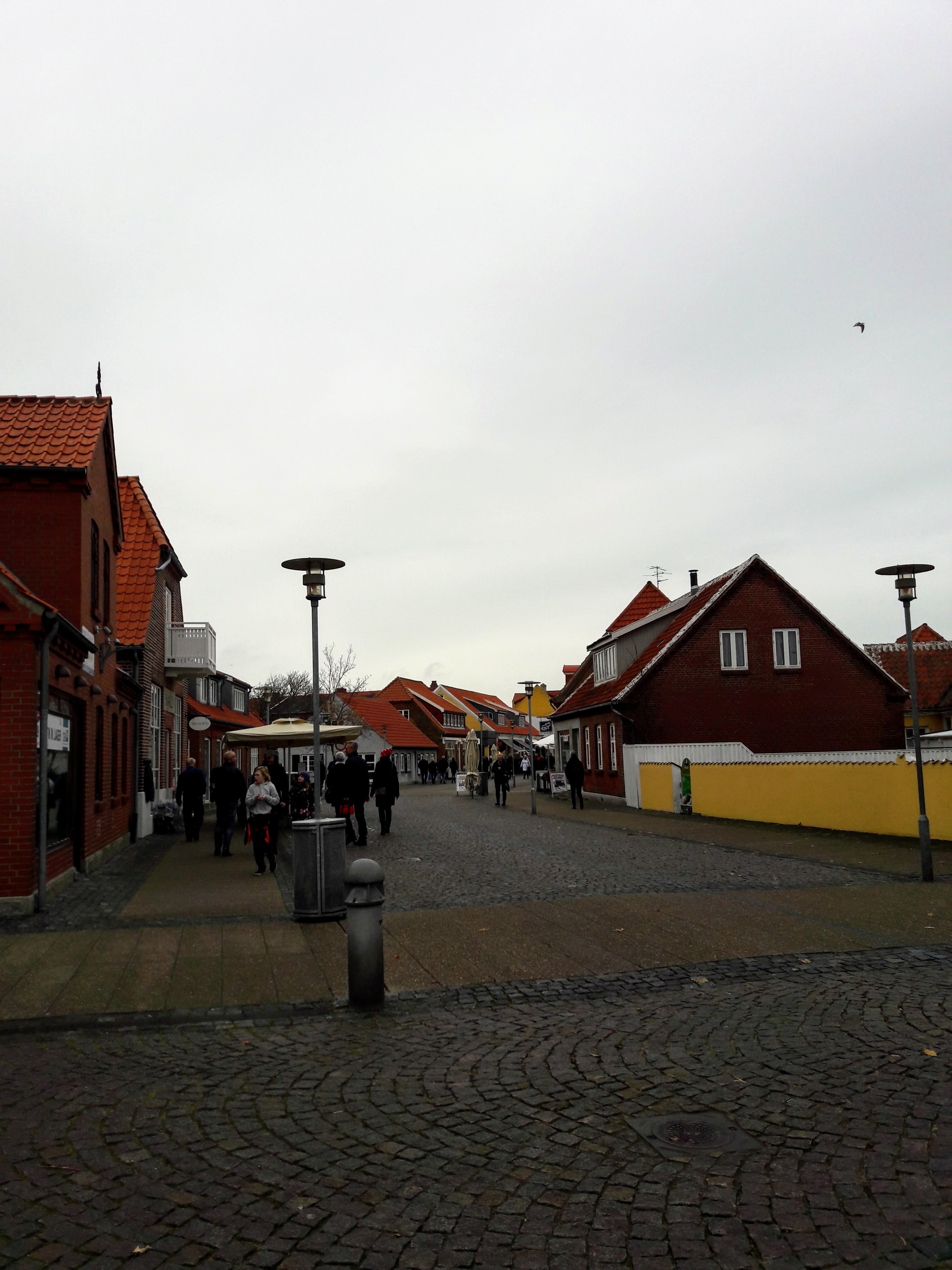 20171104_131549.jpg