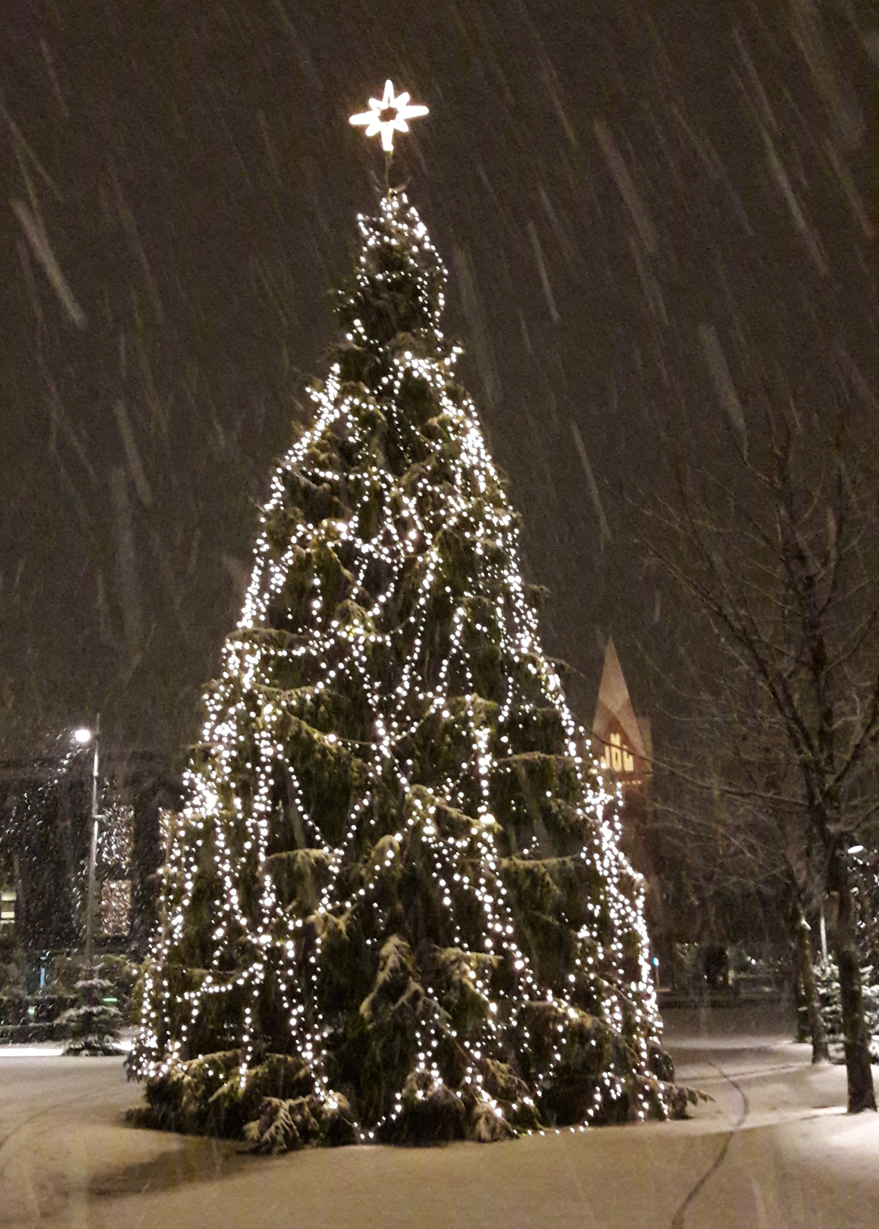 20171214_065317.jpg