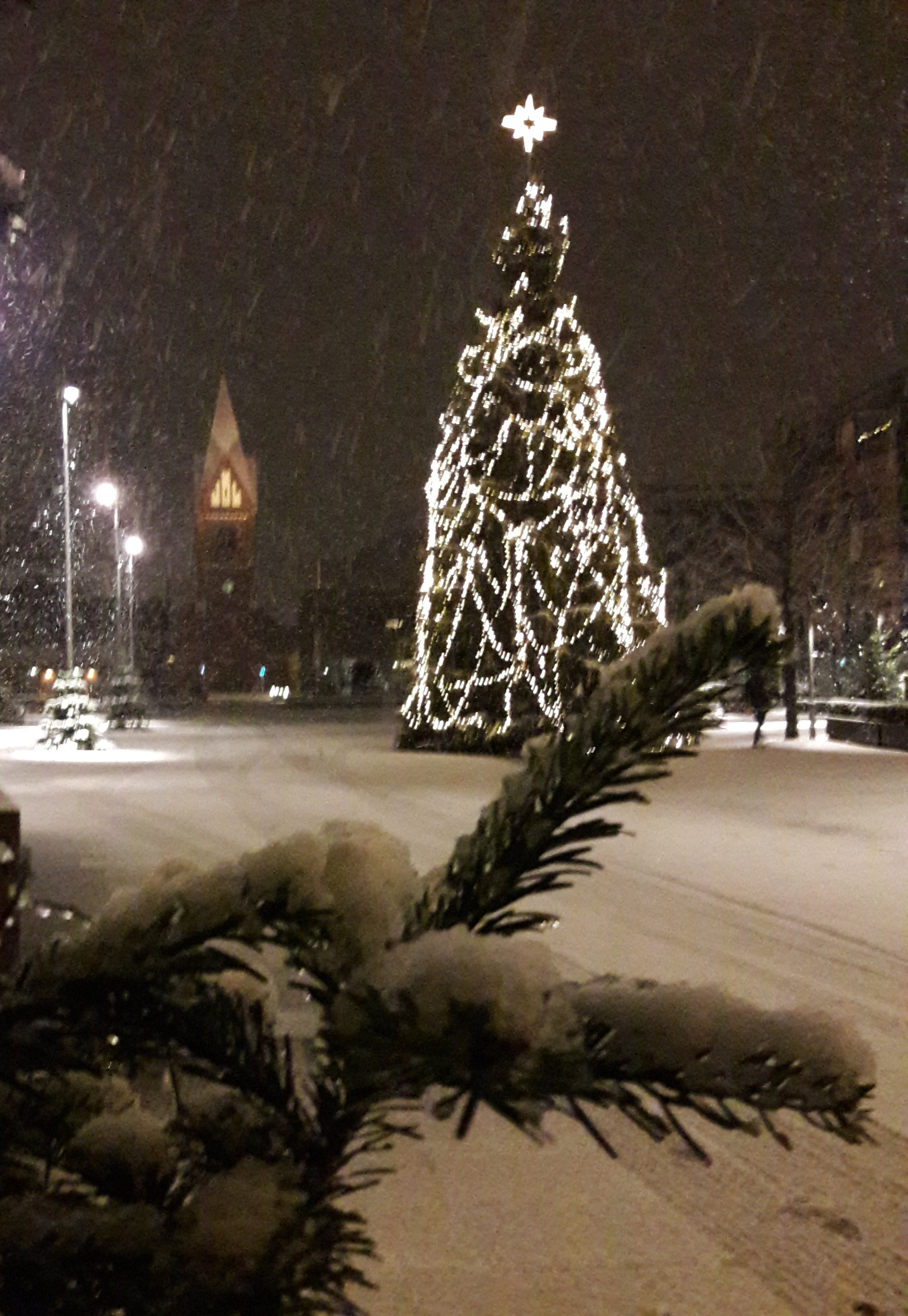 20171214_065539.jpg