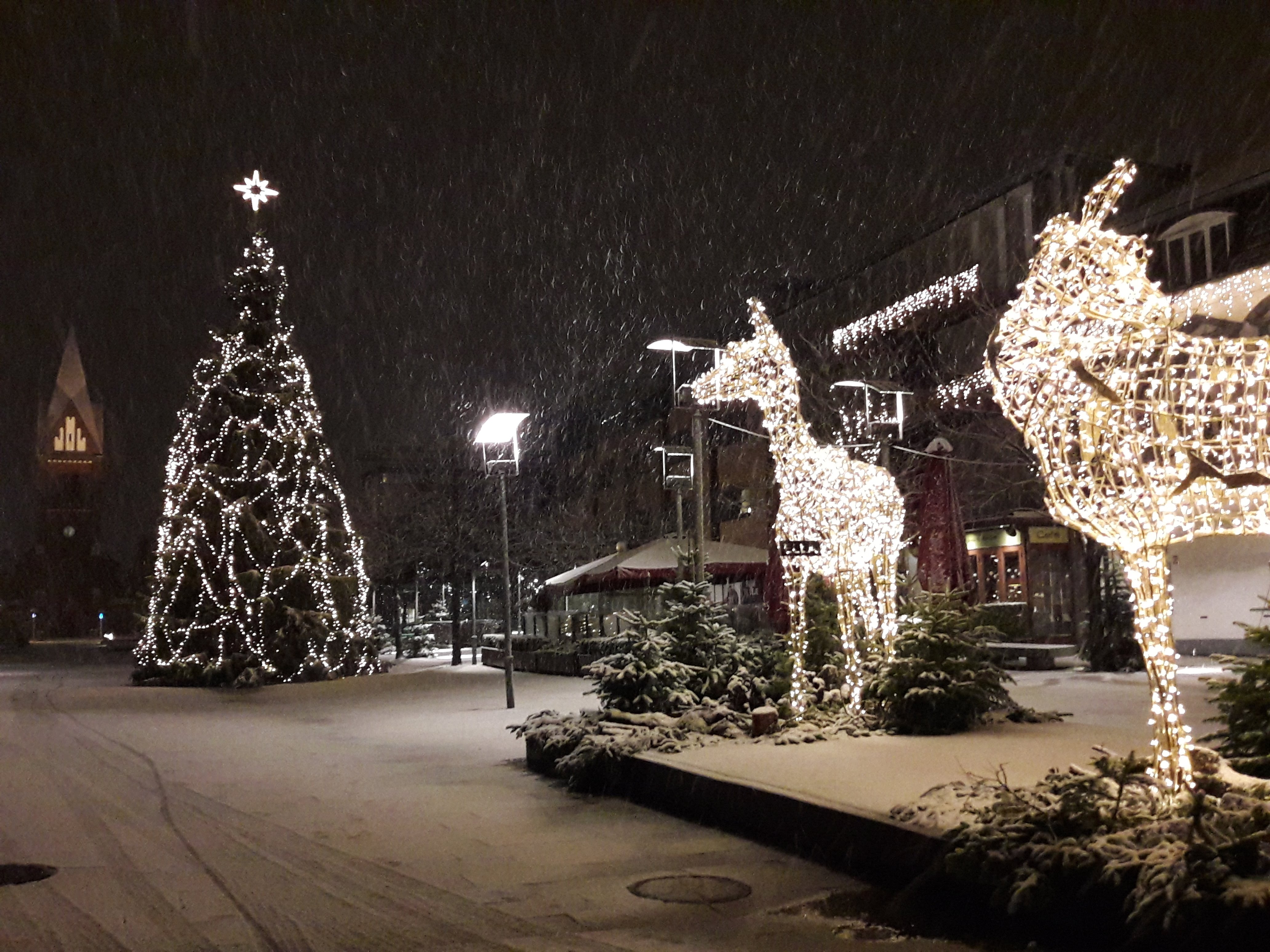 20171214_065617.jpg