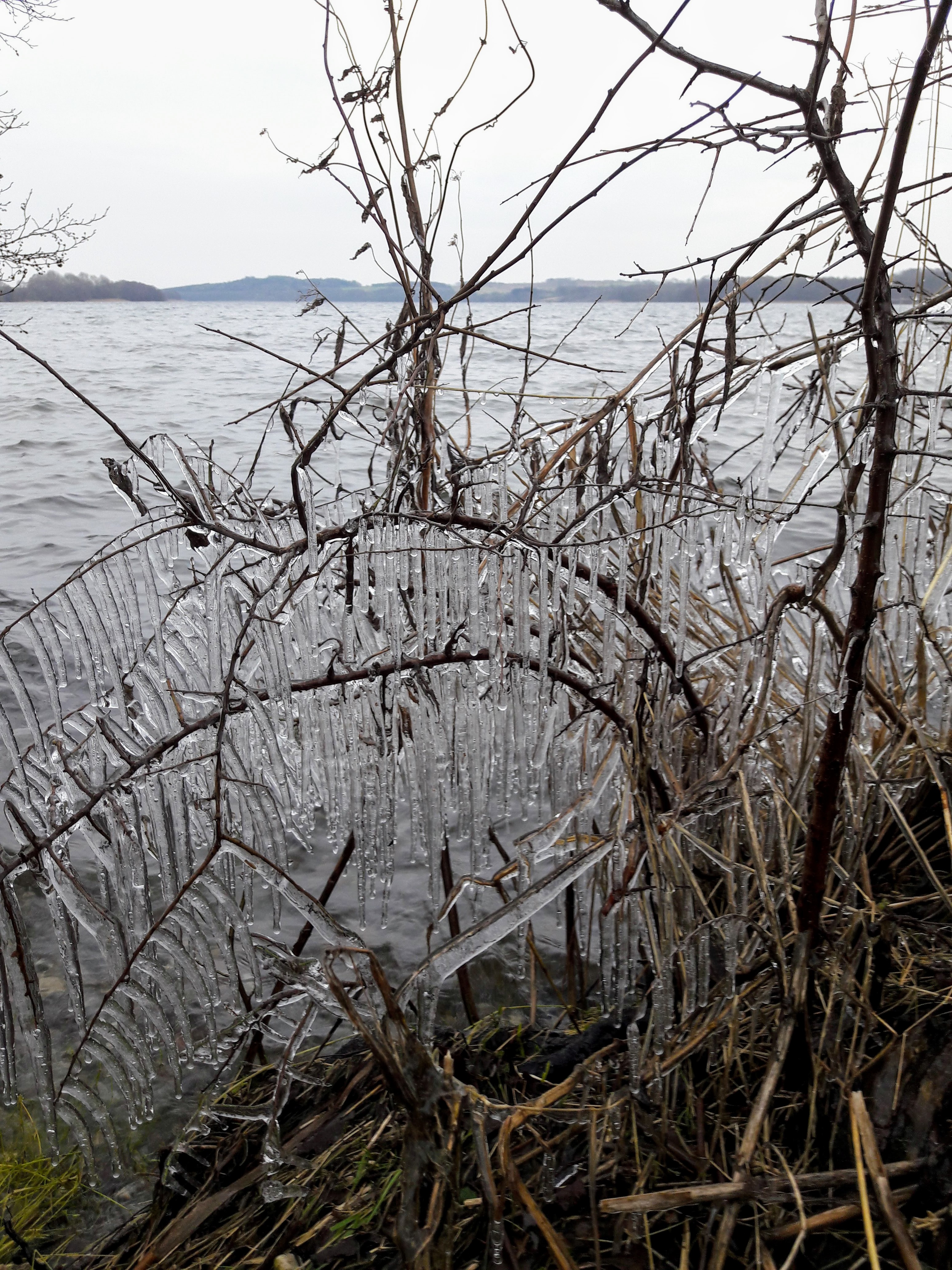 20180114_123125.jpg