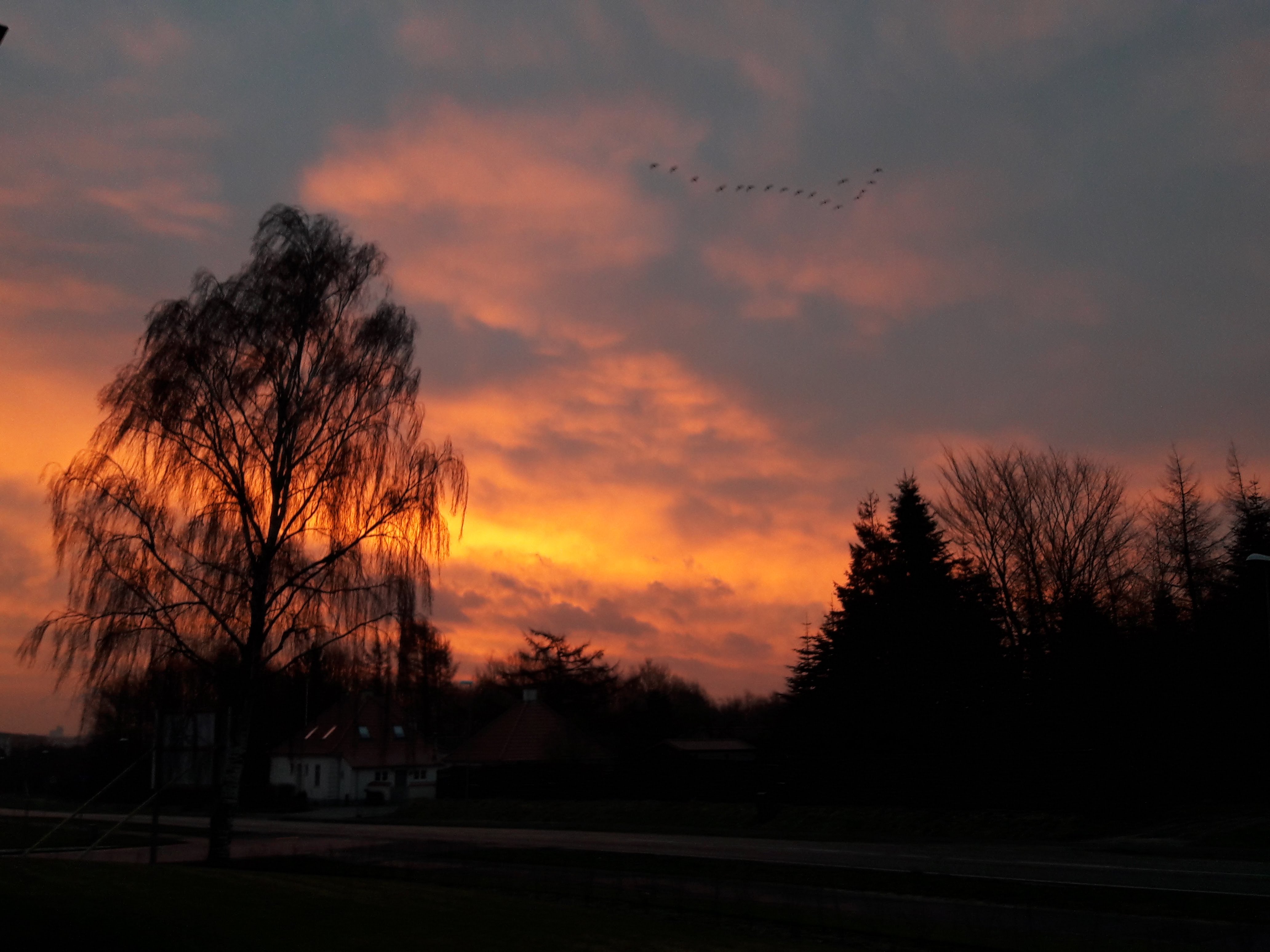 20180215_073933.jpg