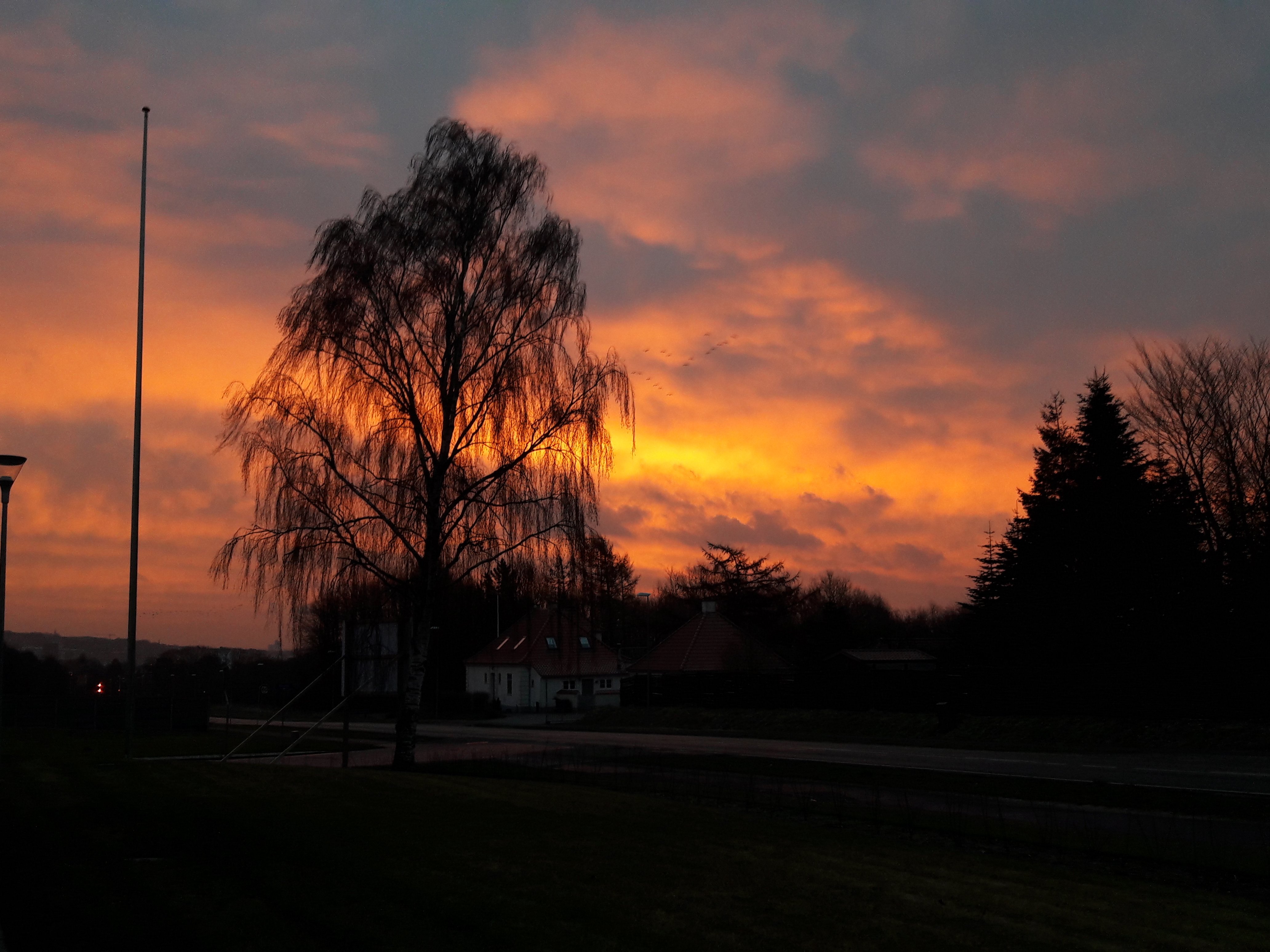 20180215_073940.jpg