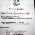 Bűnügyekben nyomoz a ceglédi Jobbik?