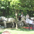 2011.06.11. Damláék esküvője
