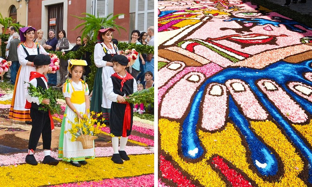 7098810-1000-1457083392-Collage3