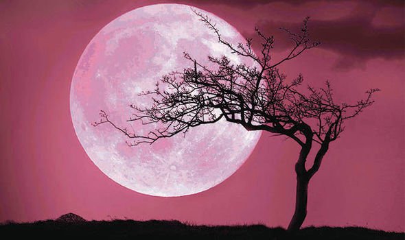 Pink-moon-April-moon-rises-why-pink-790159.jpg