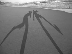 árnyék szabadfelhasználású kép a wikipédiából Shadows-in-the-sand.jpg