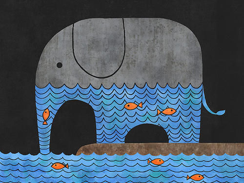elephant.jpg
