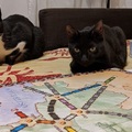 A nagy Ticket to Ride utazás