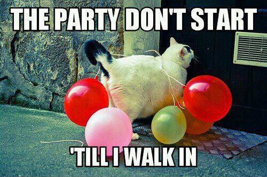 cool-cat-balloons-party.jpg