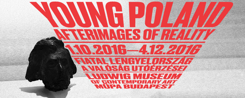 lumu_young_poland_800x320.jpg