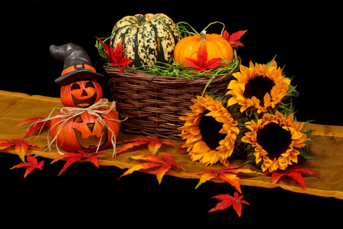 plant-night-leaf-fall-flower-spooky-1153554-pxhere_com.jpg