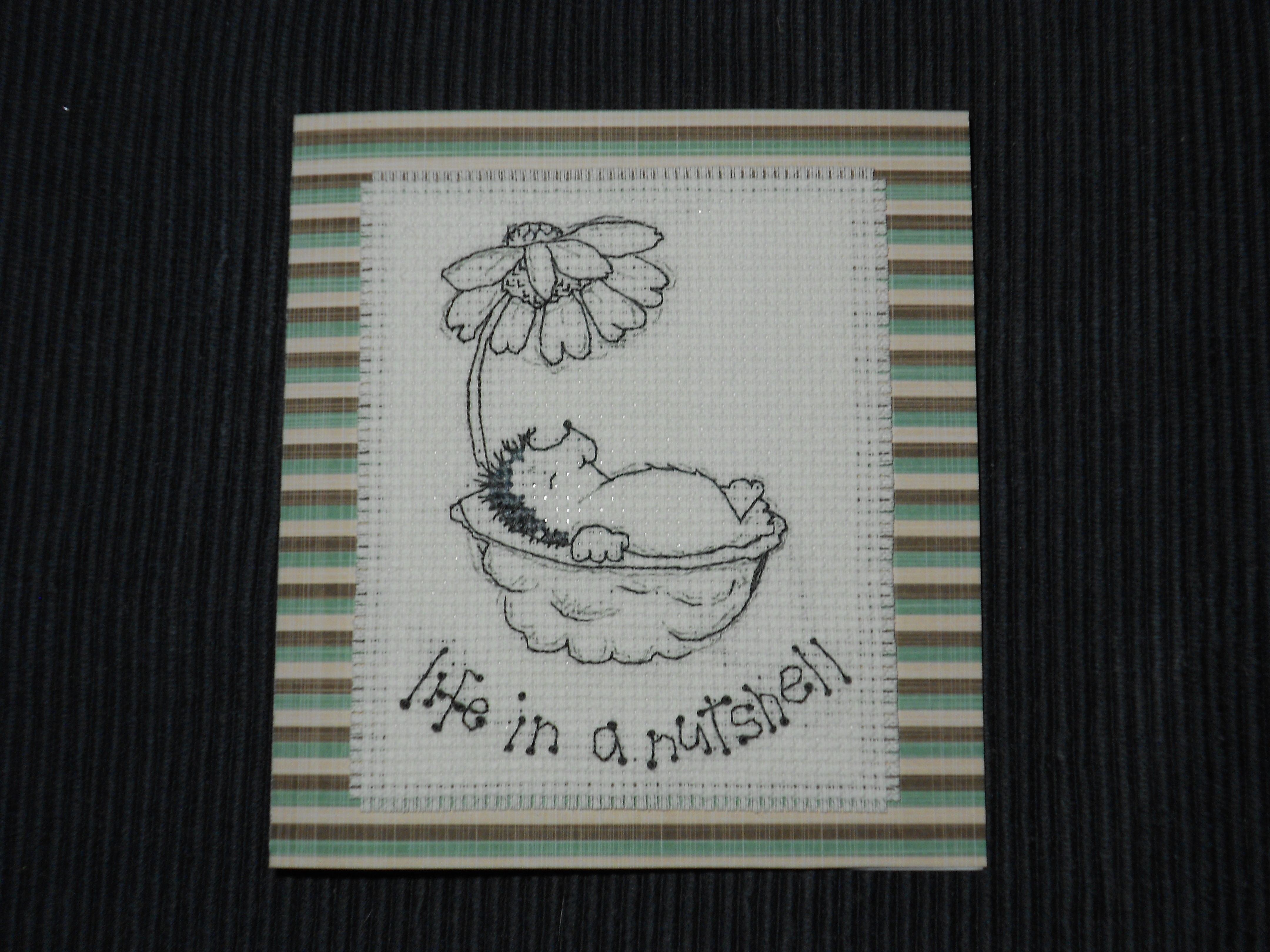 dscn1153.JPG