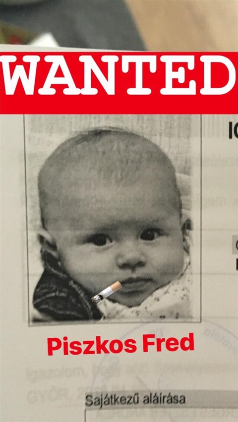 piszkos_fred.jpg