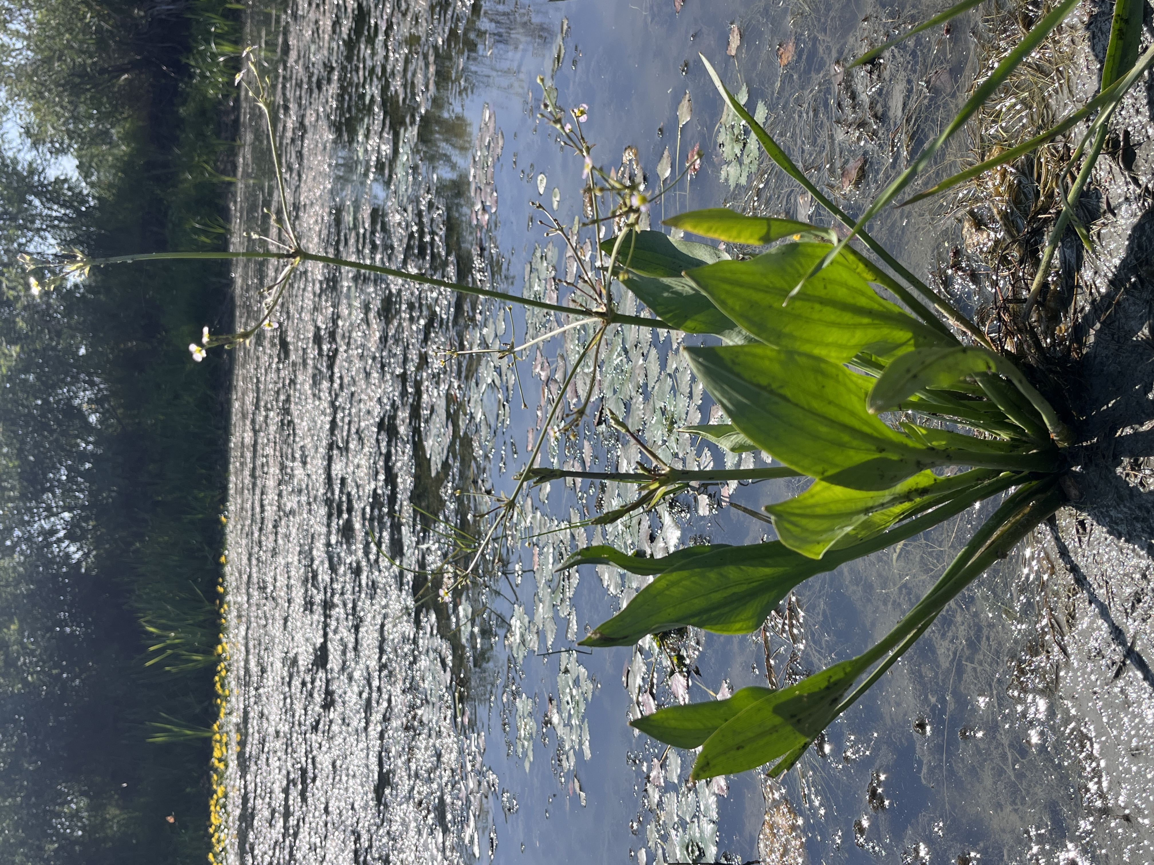 img_1835.JPG