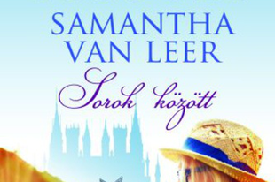 Jodi Picoult –Samantha van Leer: Sorok között