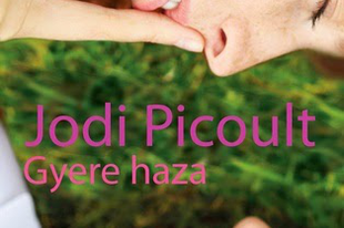 Jodi Picoult: Gyere haza