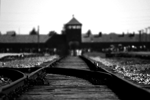 Születtem 1944 telén, Auschwitzban