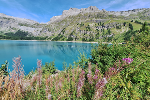 Lac de Tseuzier