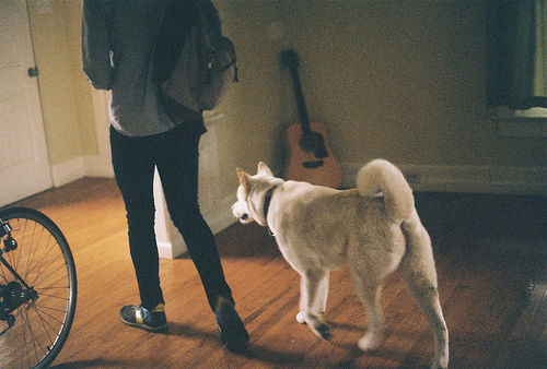 boy-dog-animal-guitar-room-bike-clothes-vintage-photo-photography-cute-Favim.com-462707.jpg