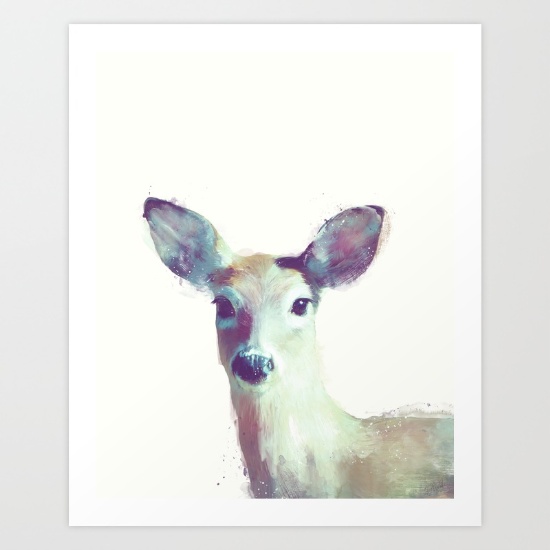 whitetail-no-1-prints_amy_hamilton_2.jpg