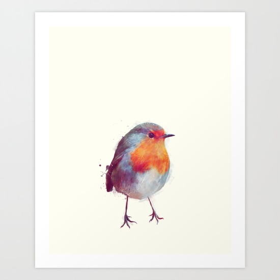 winter-robin-rqn-prints_amy_hamilton_3.jpg