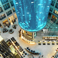 Radisson Blu Hotel > Berlin