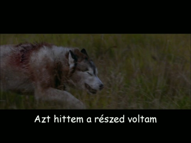 David Guetta ft Sia - She Wolf (Falling To Pieces)