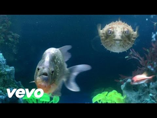 The Chemical Brothers - The Salmon Dance