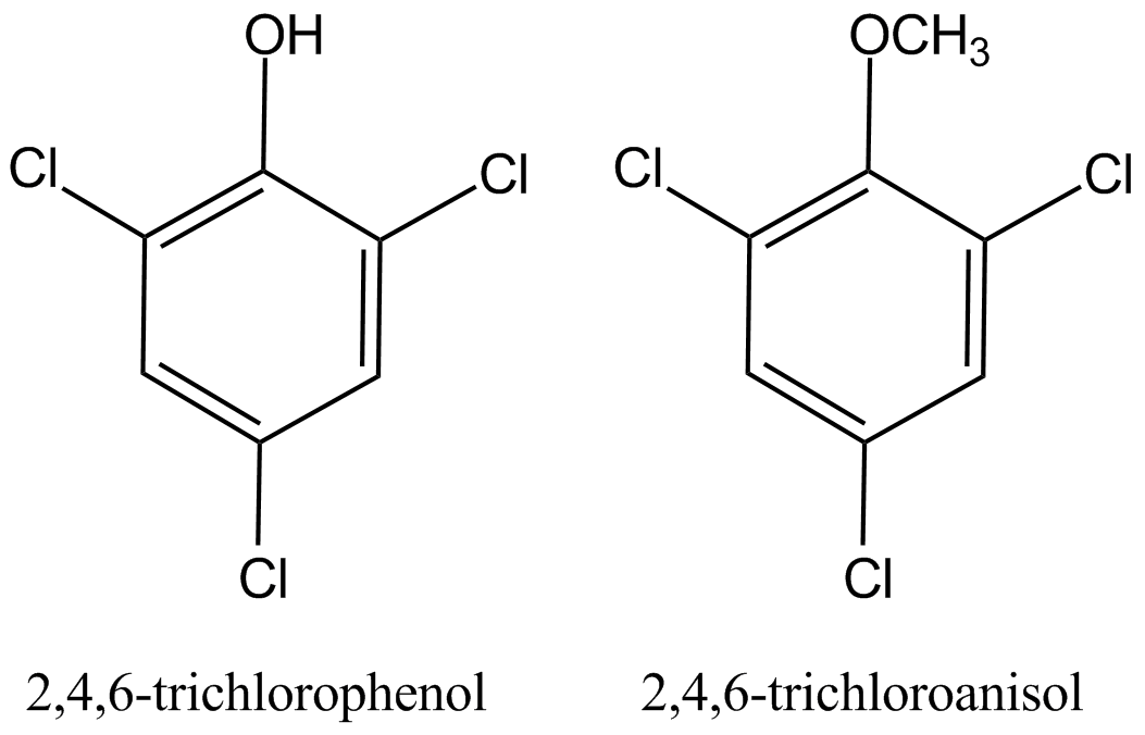 TCP and TCA.png