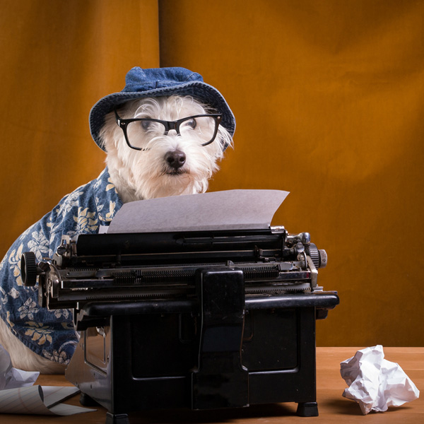 dog-writer2.jpg