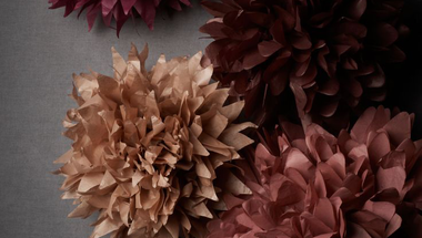 color of beetroot