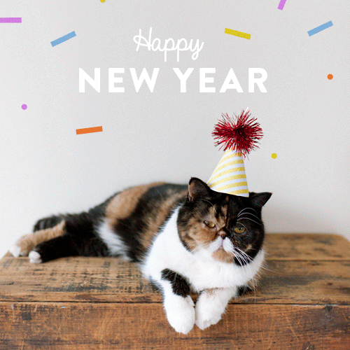 227115-happy-new-year-cat.gif