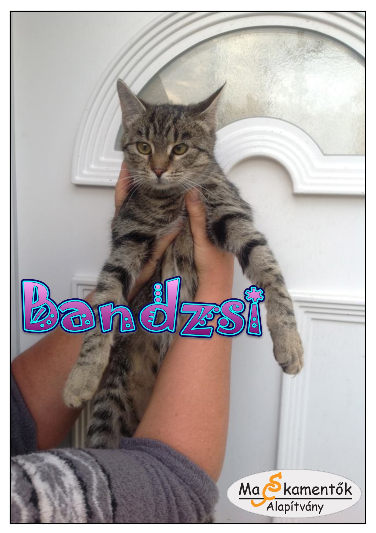 Bandzsi_2.jpg